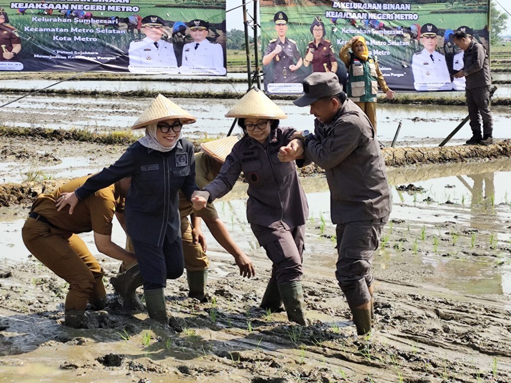 IMG-20251104-WA0059-1024x768